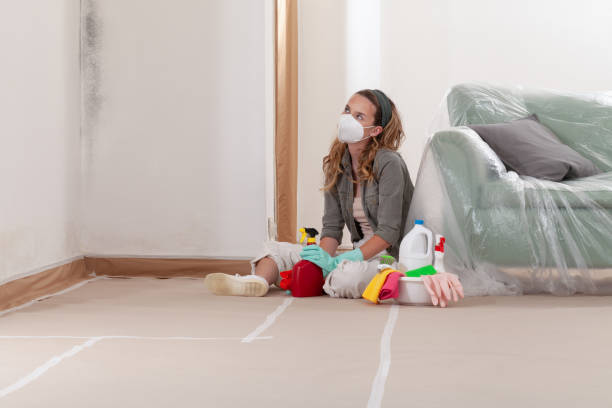 Reliable Black Mold Removal contractor in Anoka, MN by WQB Mold Removal